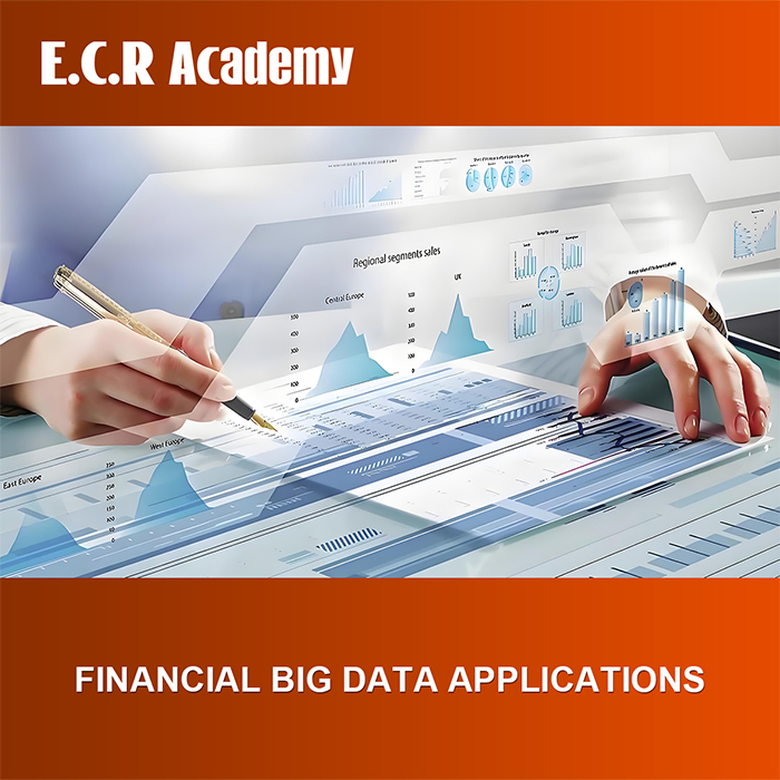 Financial Big Data Applications